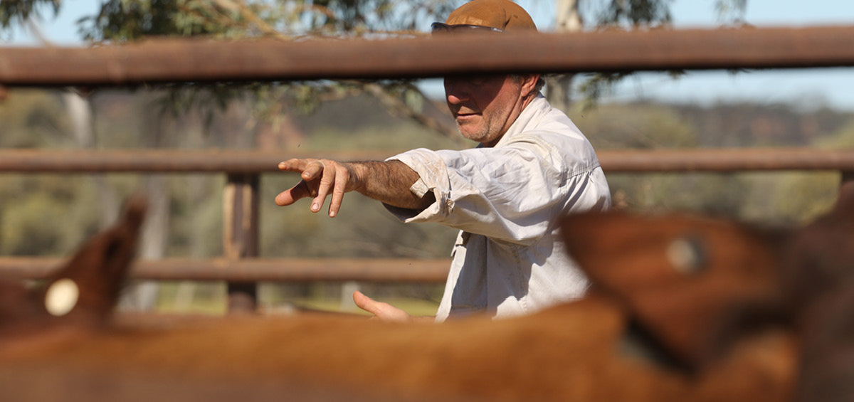 Work Shirts for Farmers & Rural Workers